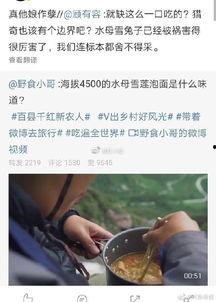 兔子爆料博主视频,视频背后的真实故事  第1张